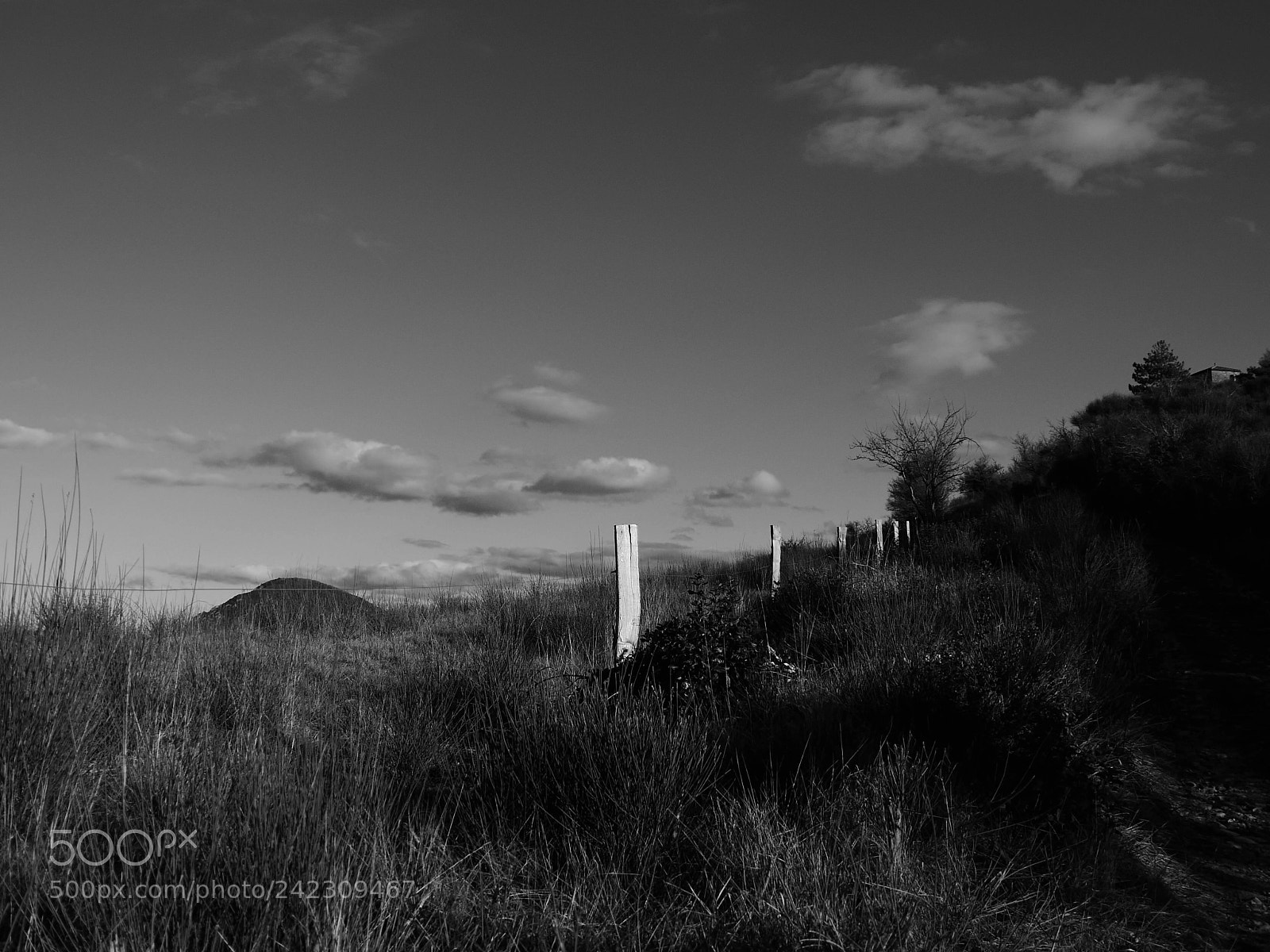 Panasonic Lumix DMC-GX85 (Lumix DMC-GX80 / Lumix DMC-GX7 Mark II) sample photo. Walk photography