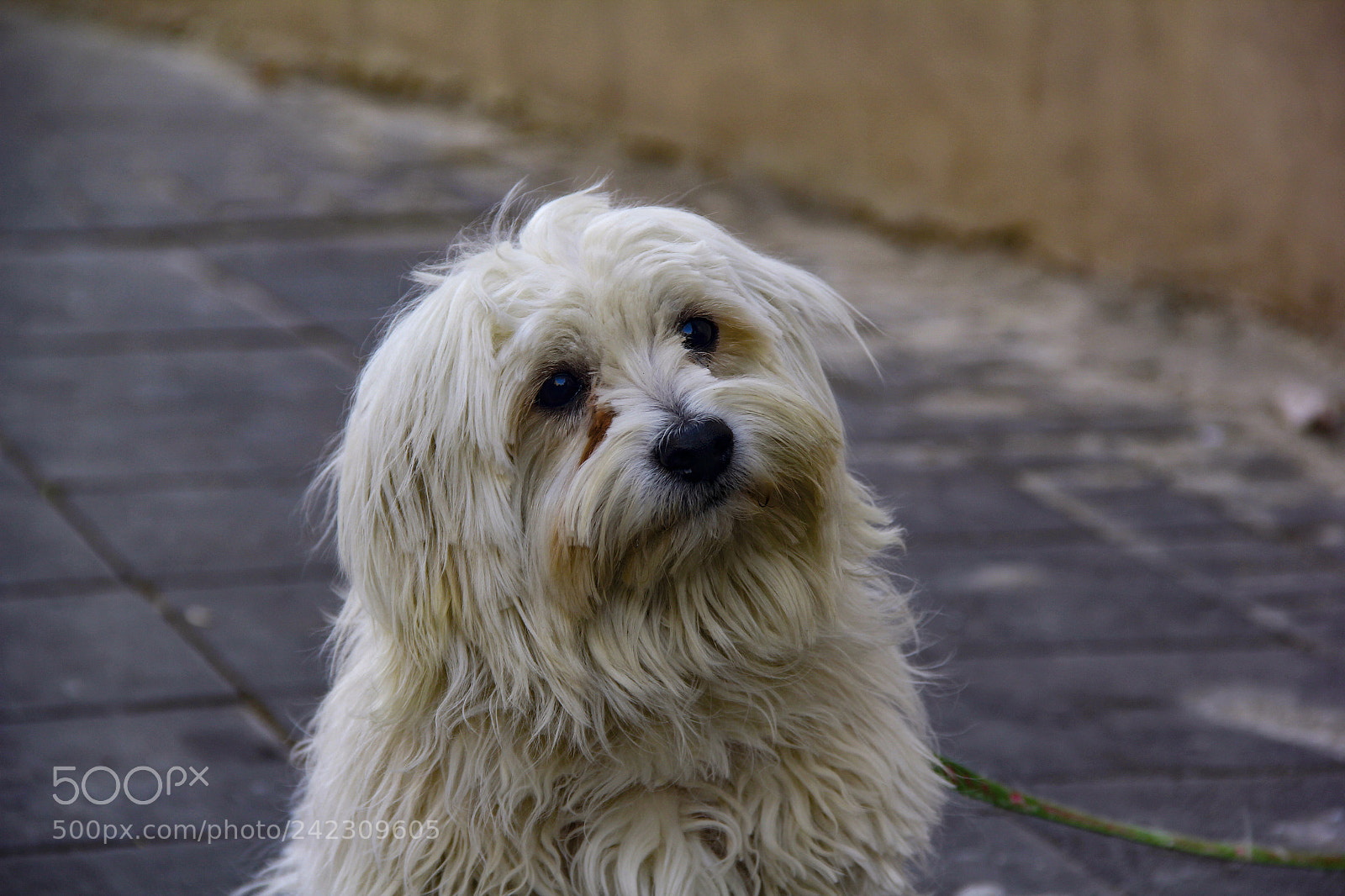 Canon EOS 60D sample photo. Mutlu hafta sonları photography