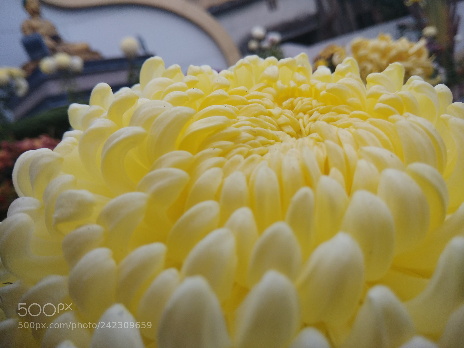 Xiaomi Redmi Note 4 sample photo. Untitled photography