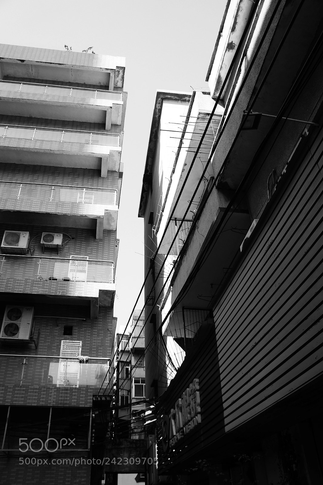 Sony Alpha NEX-5 sample photo. Untitled photography