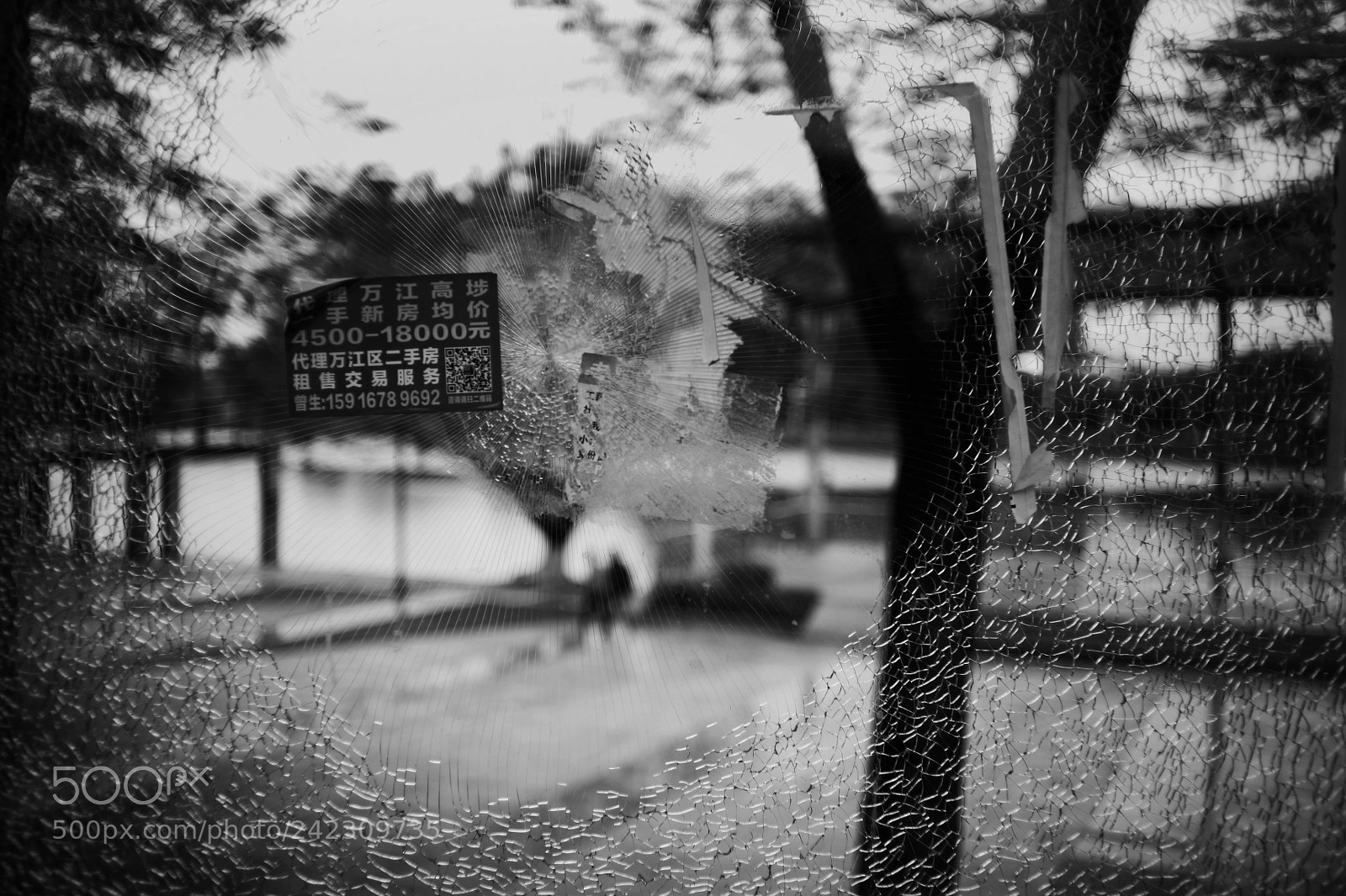 Canon EOS 5D sample photo. Untitled photography