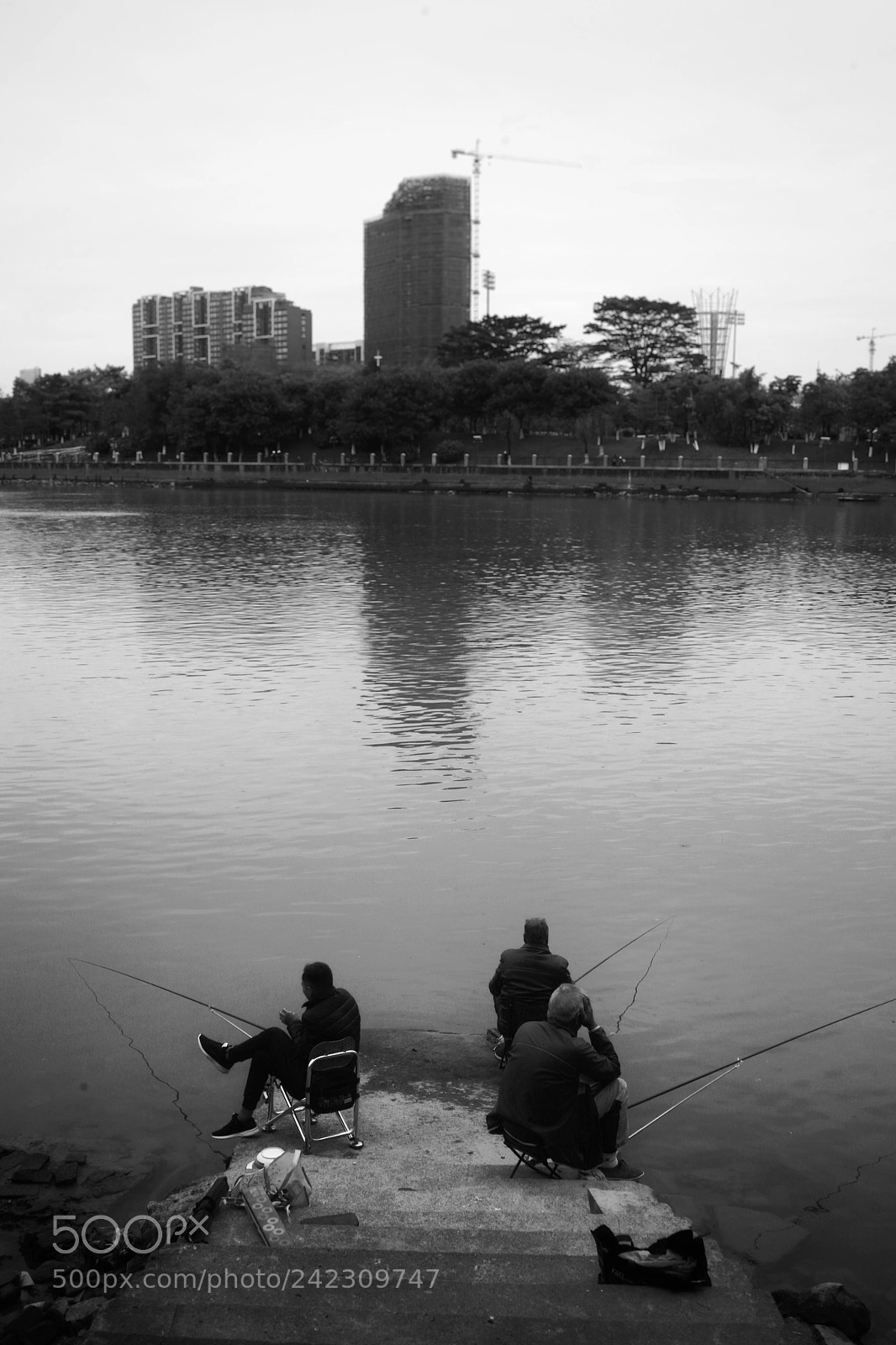 Canon EOS 5D sample photo. Untitled photography