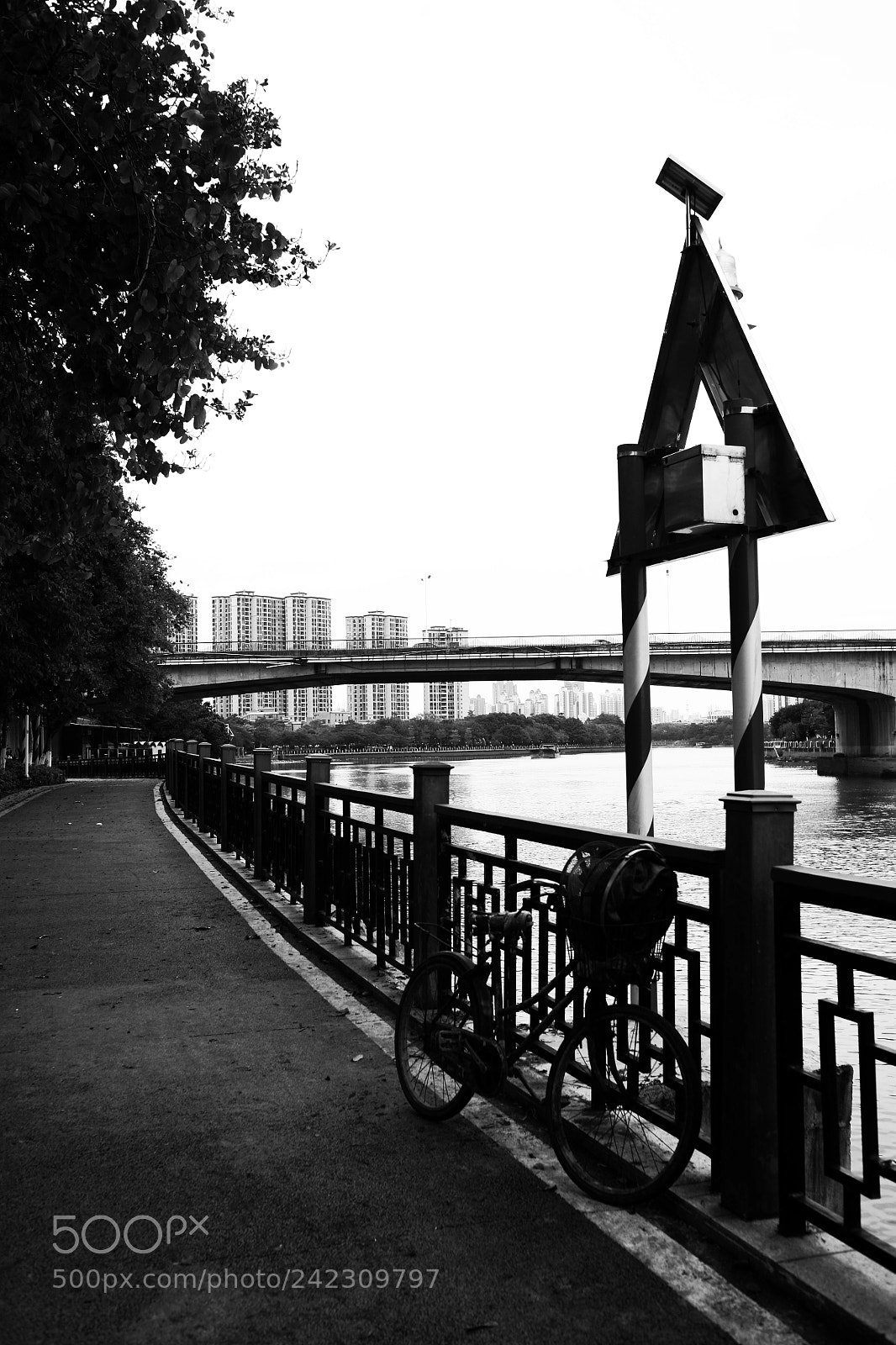 Canon EOS 5D sample photo. Untitled photography