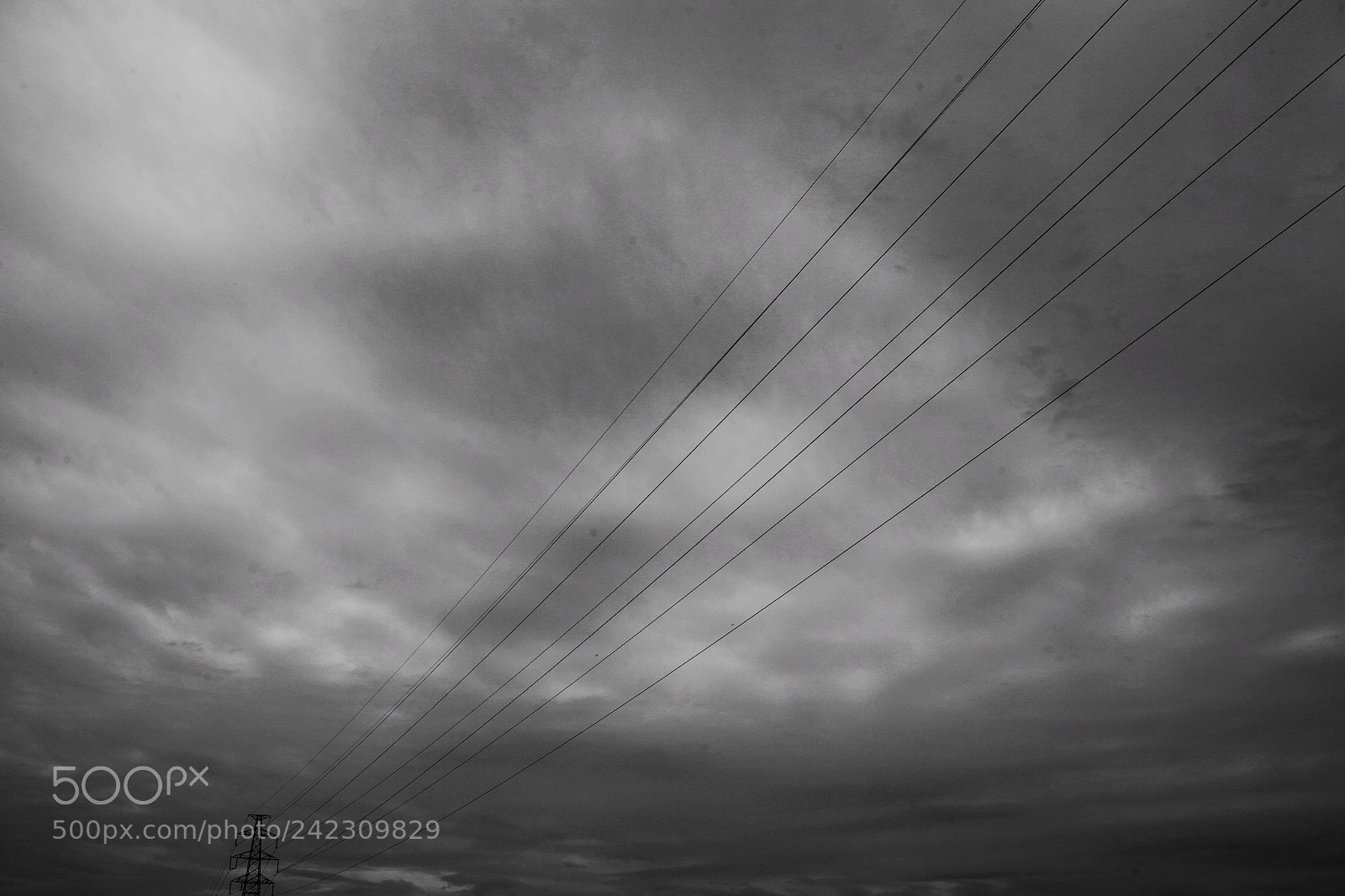 Canon EOS 5D sample photo. Untitled photography