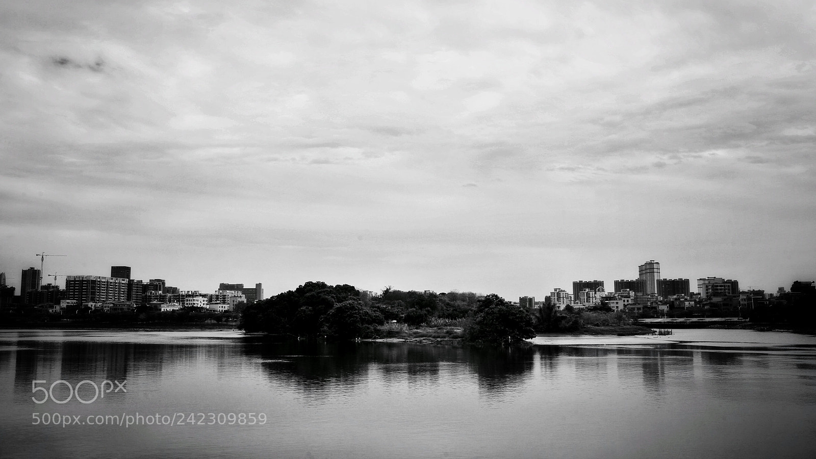 Canon EOS 5D sample photo. Untitled photography