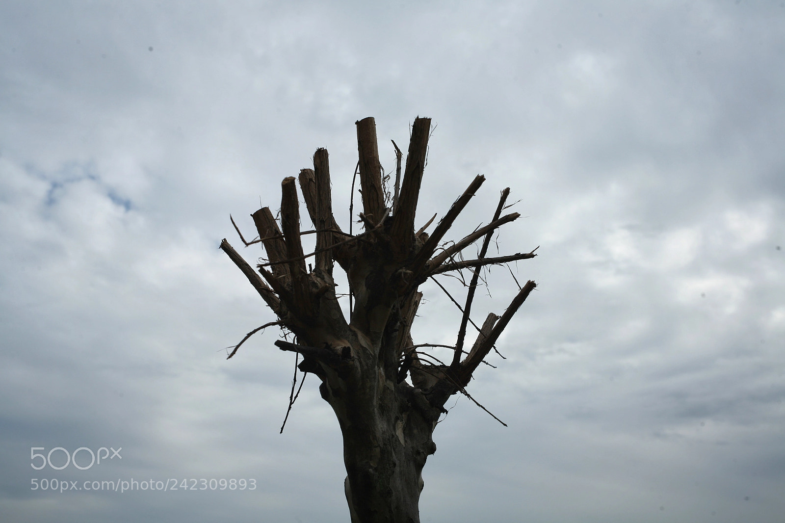 Canon EOS 5D sample photo. Untitled photography