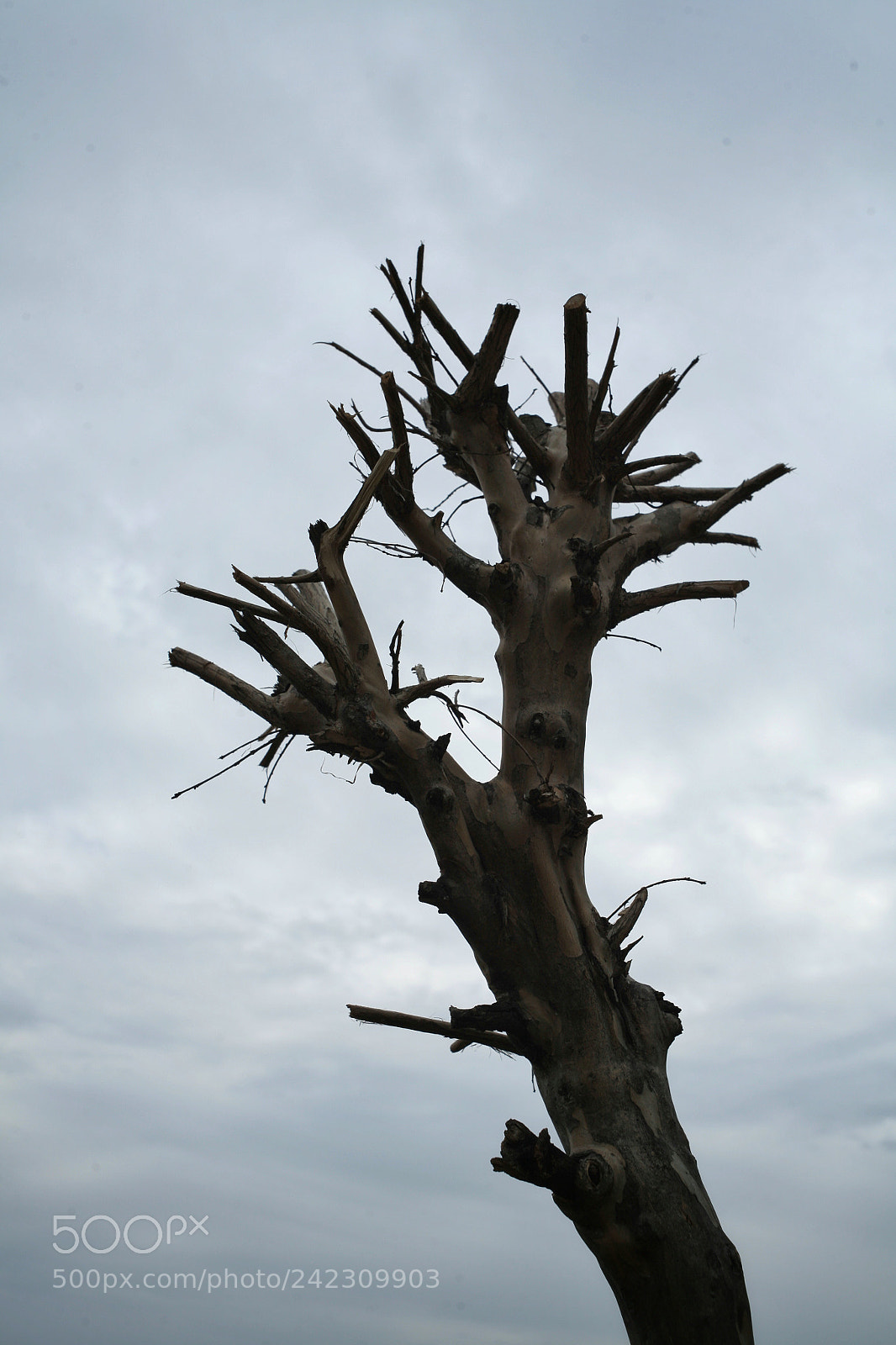 Canon EOS 5D sample photo. Untitled photography