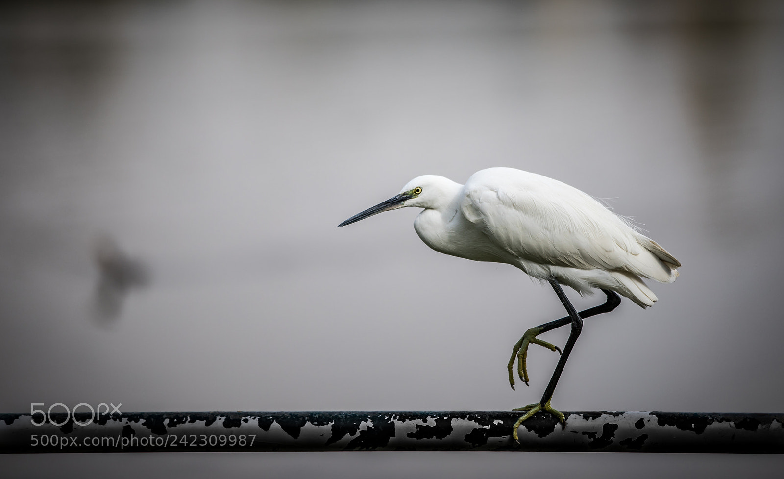 Canon EOS 6D Mark II sample photo. On edge photography