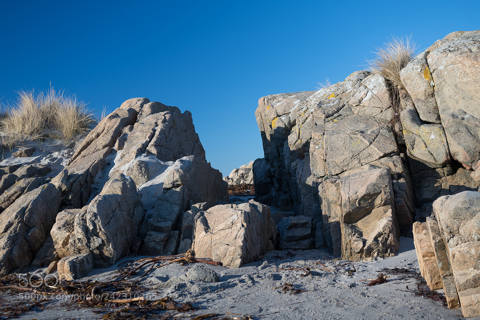 Nikon D500 sample photo. Rocks at the beach photography
