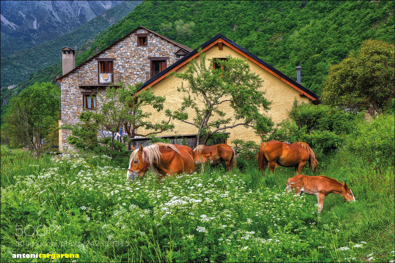 Nikon D7200 sample photo. Vall de boí photography