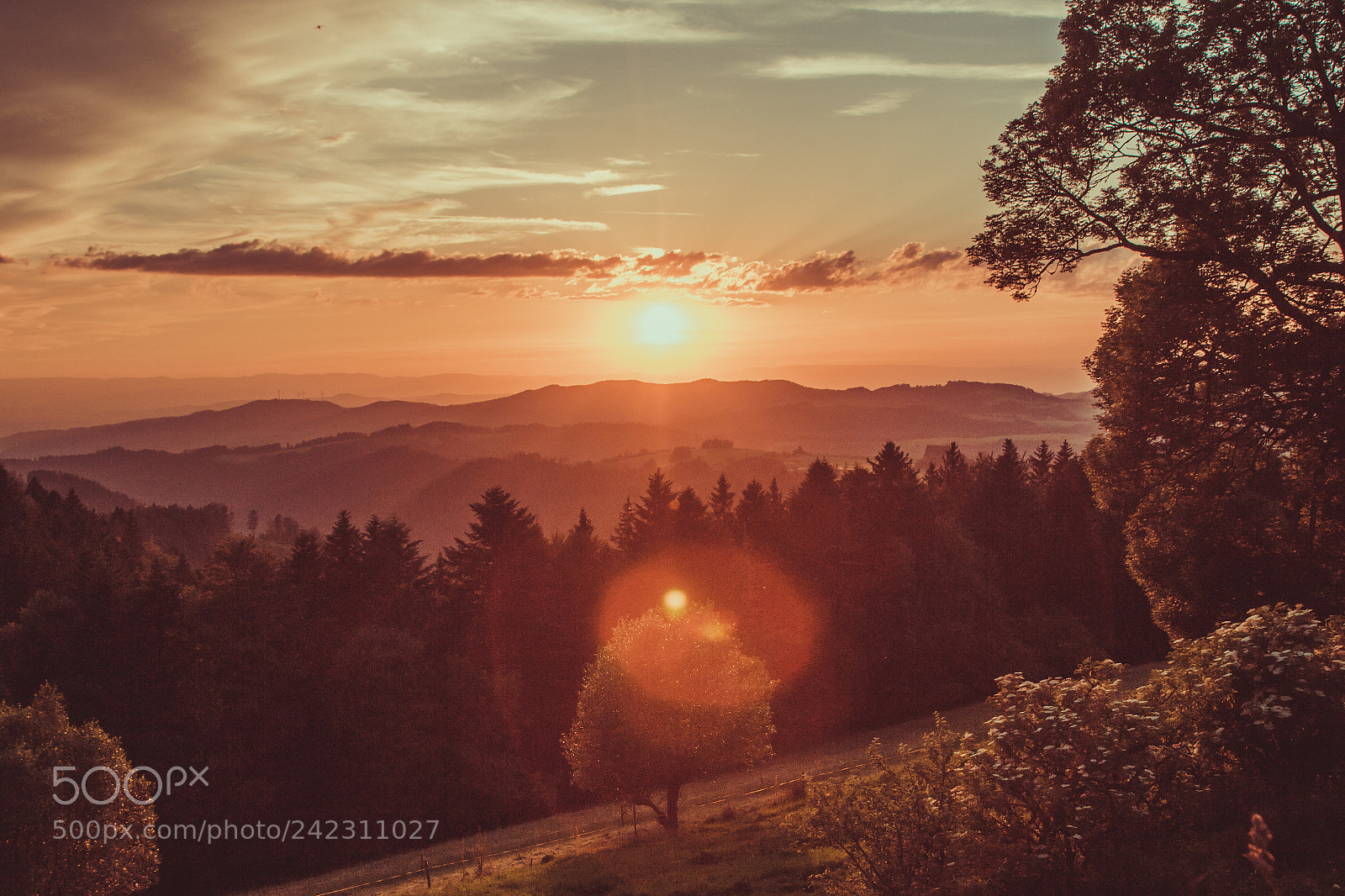 Canon EOS 60D sample photo. Black forest sunset photography