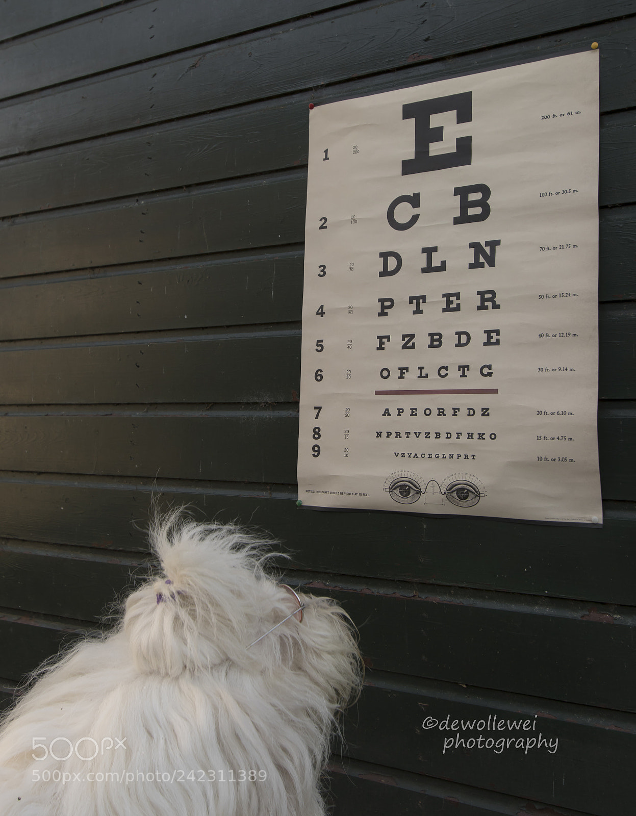 Canon EOS 7D Mark II sample photo. Hmm.. think i need photography