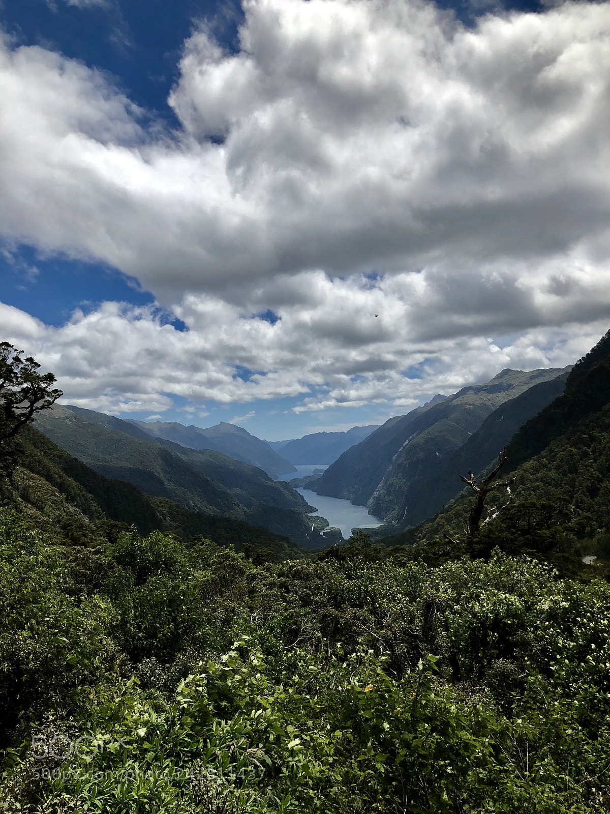 Apple iPhone X sample photo. Amazing doubtful sound photography
