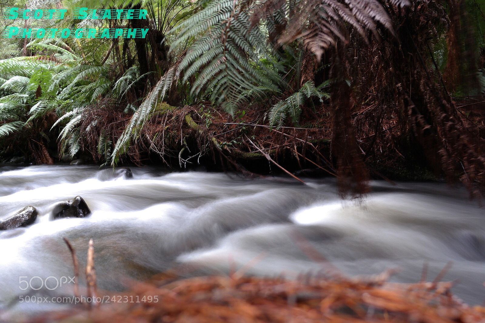 Samsung NX2000 sample photo. Untitled photography