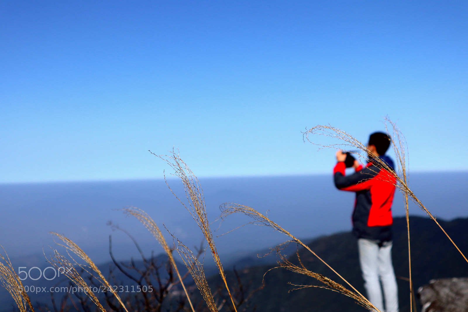 Canon EOS M100 sample photo. Untitled photography