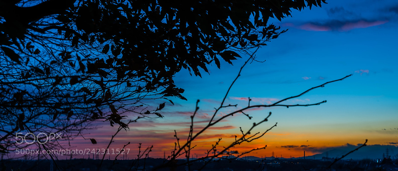 Nikon D700 sample photo. Temple sunset ! photography