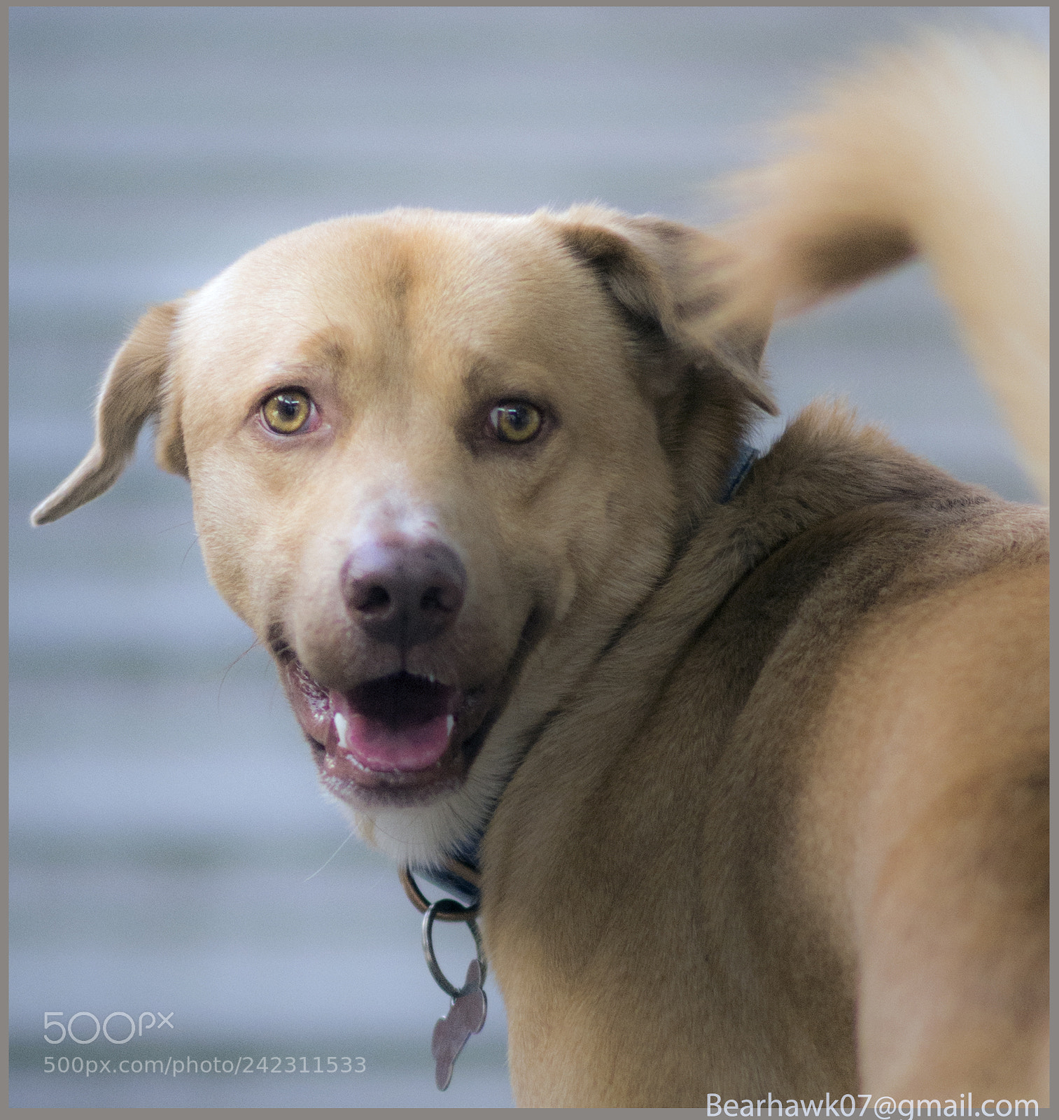 Nikon D7200 sample photo. 002.jpg photography