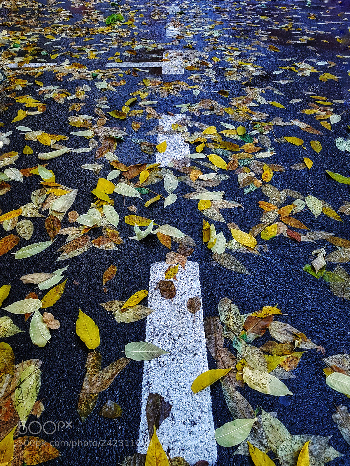Samsung Galaxy S7 sample photo. Road leads to   .. photography