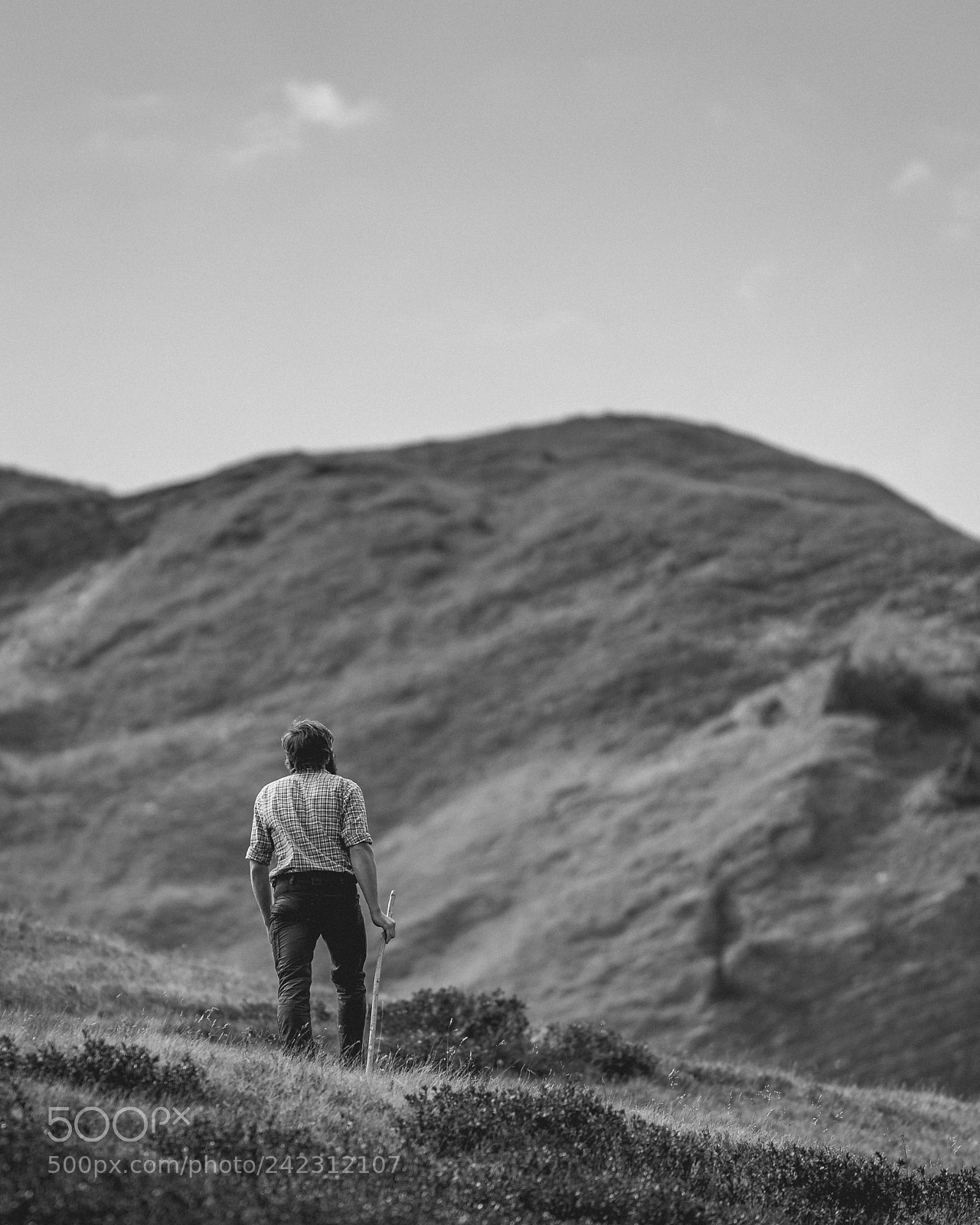 Sony a9 sample photo. Lonely walker iii photography