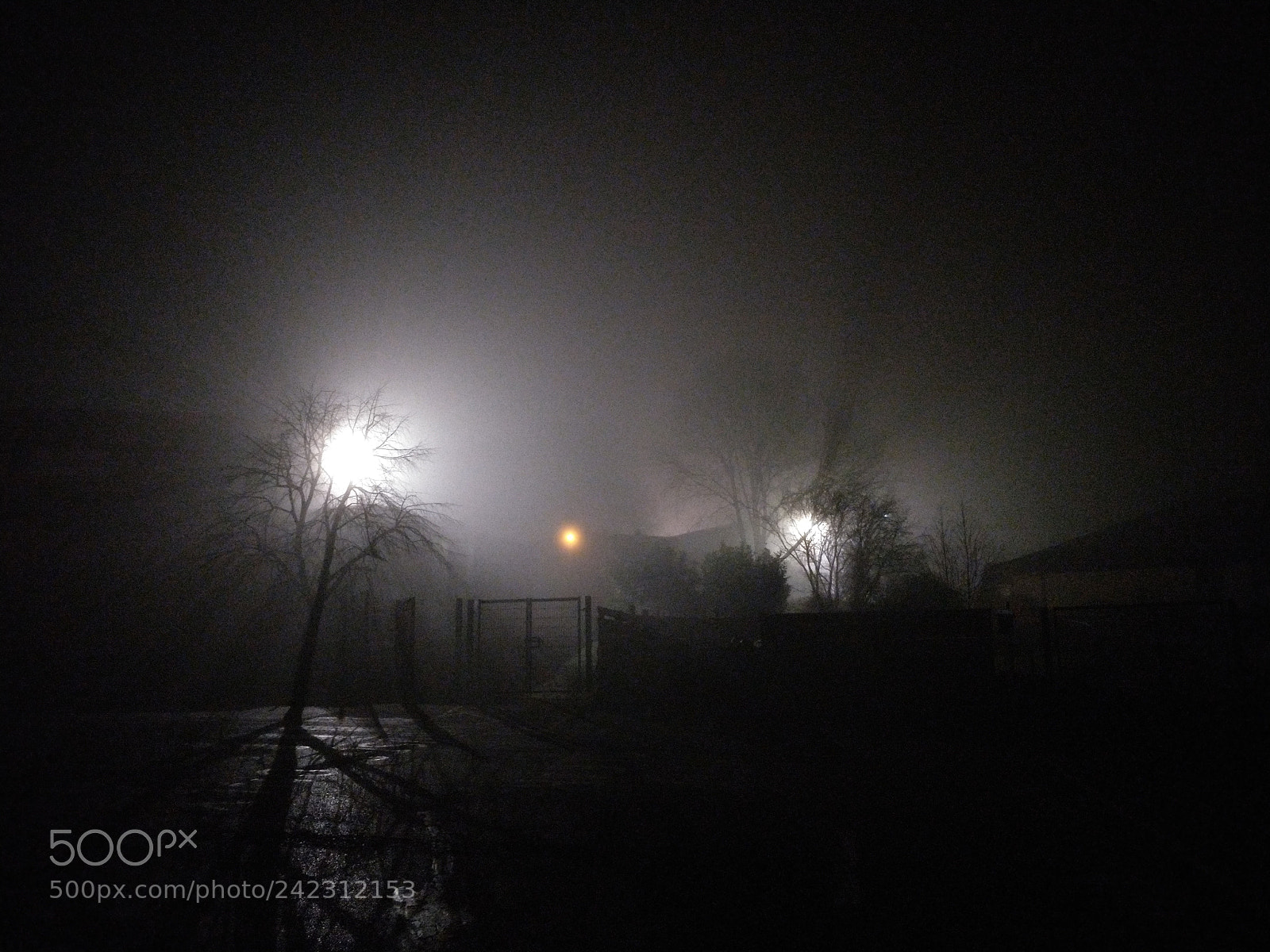 OnePlus 5T sample photo. Spooky treeline photography