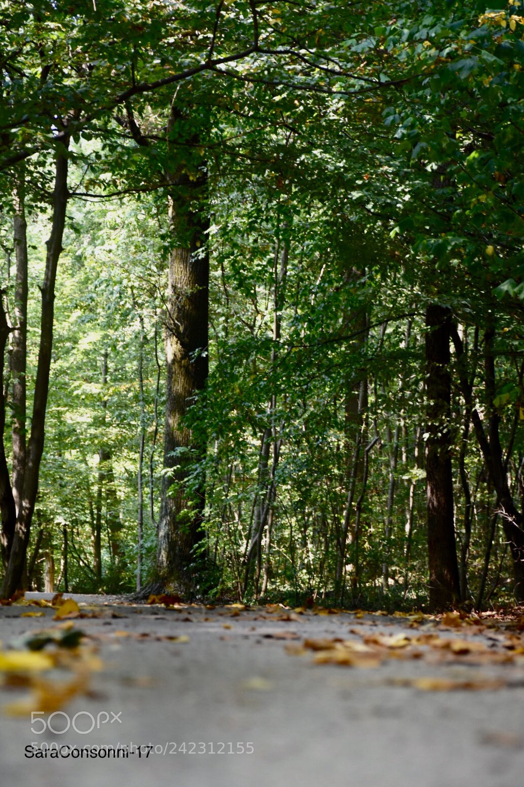 Nikon D7200 sample photo. Dal mio punto di photography