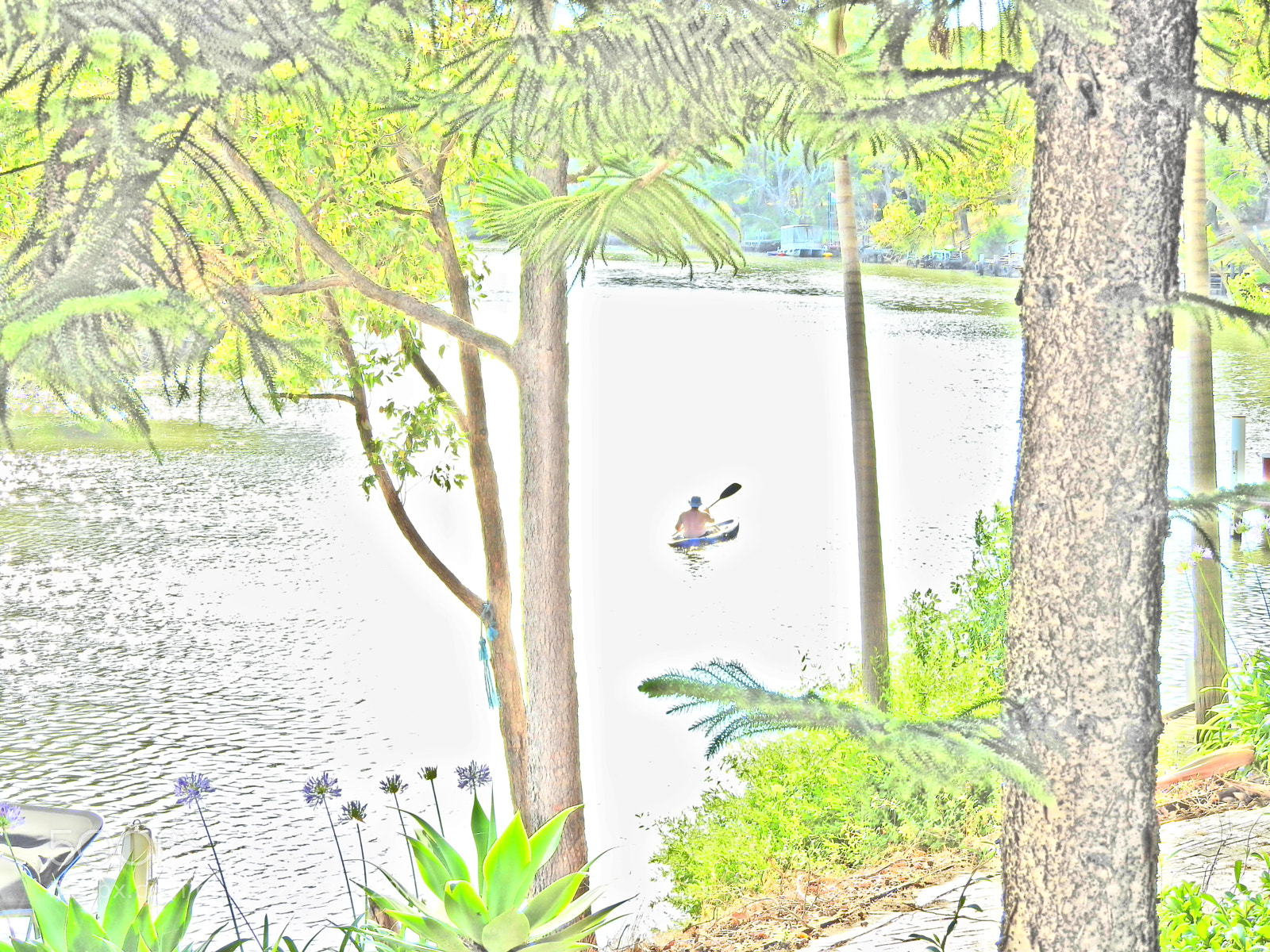 Nikon Coolpix P610 sample photo. Kayak on murray river photography