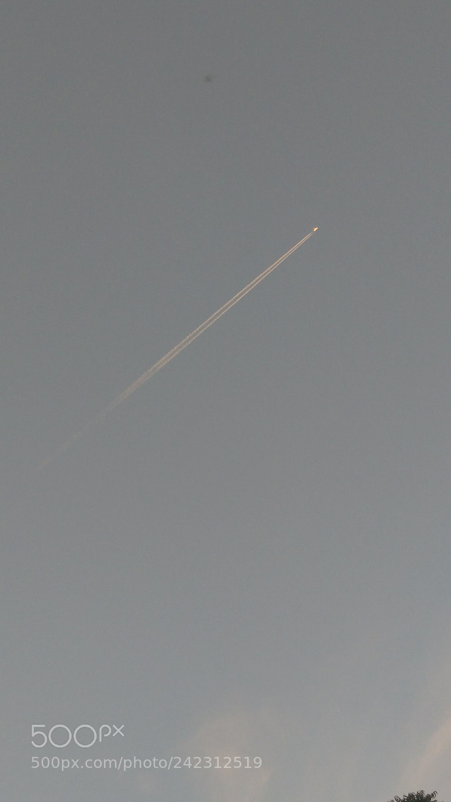 Lenovo K6 NOTE sample photo. Reach to the sky photography