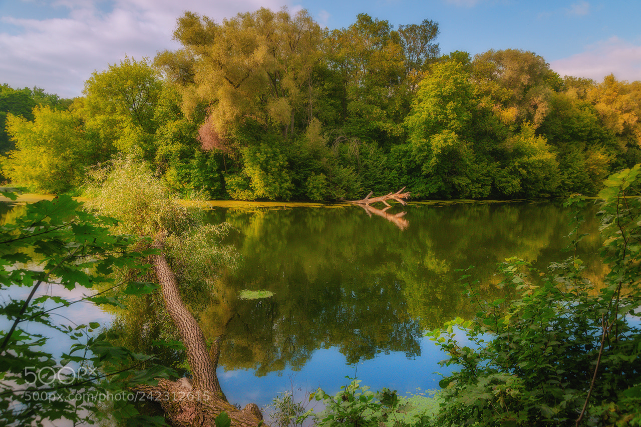 Nikon D800 sample photo. Seim river photography