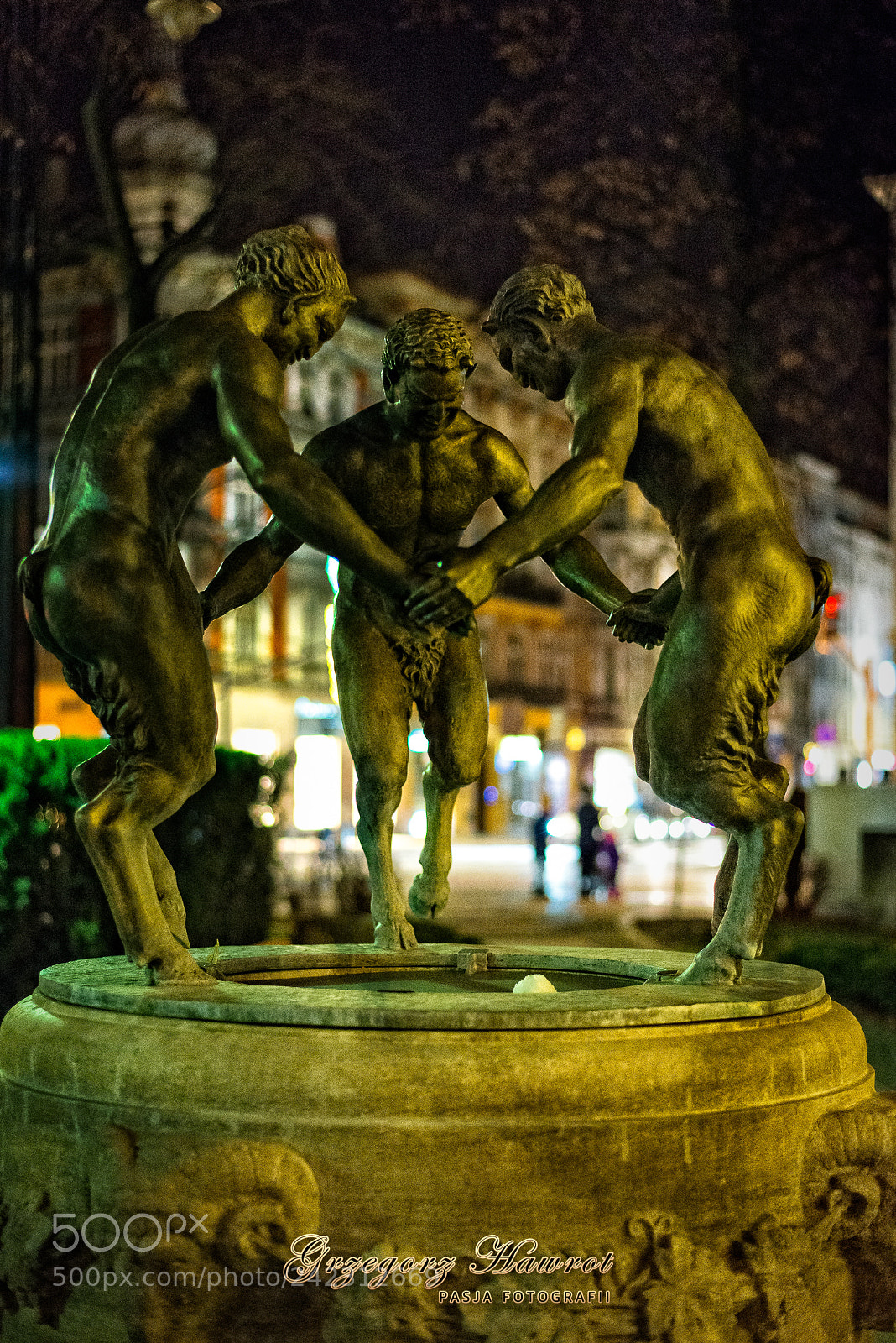 Nikon D800 sample photo. Ta cz ce fauny photography