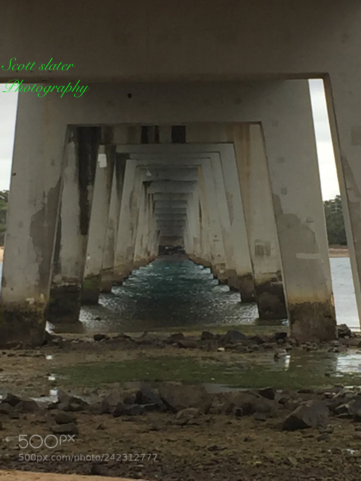 Apple iPhone 6 sample photo. Untitled photography