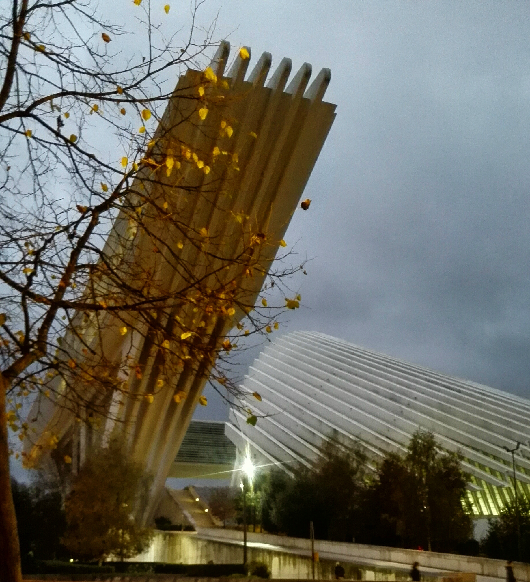 HUAWEI P7-L10 sample photo