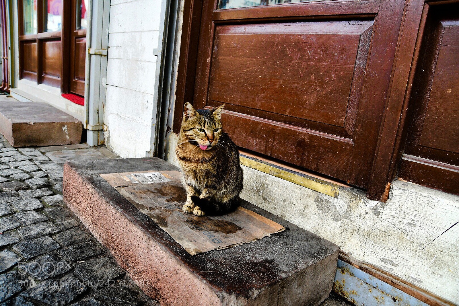 Nikon D7500 sample photo. Untitled photography