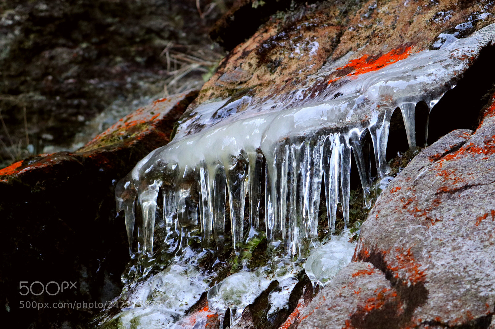 Canon EOS M100 sample photo. Ice photography