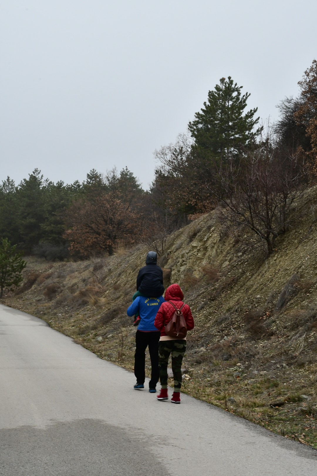 Nikon D7500 sample photo