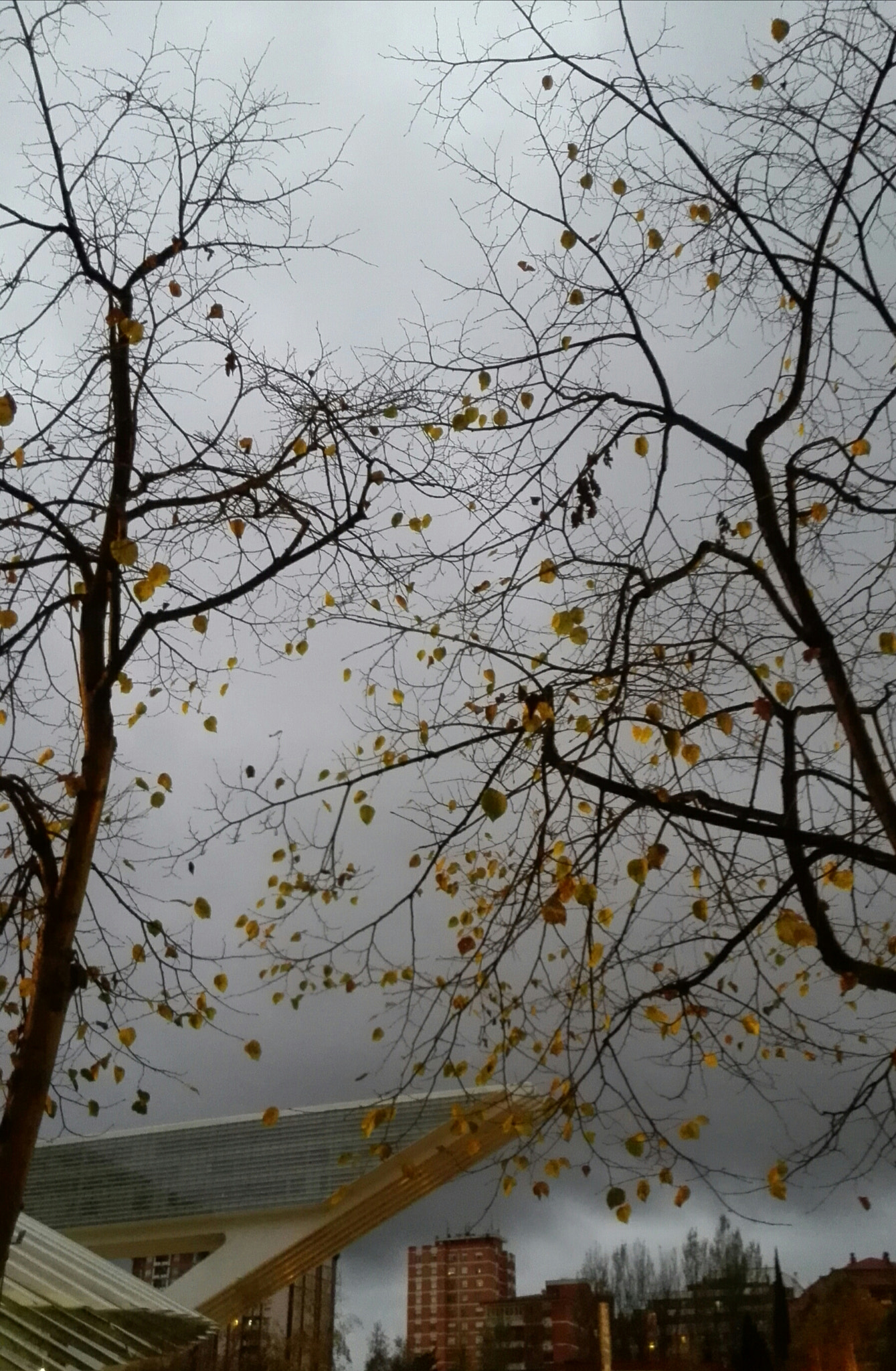 HUAWEI P7-L10 sample photo