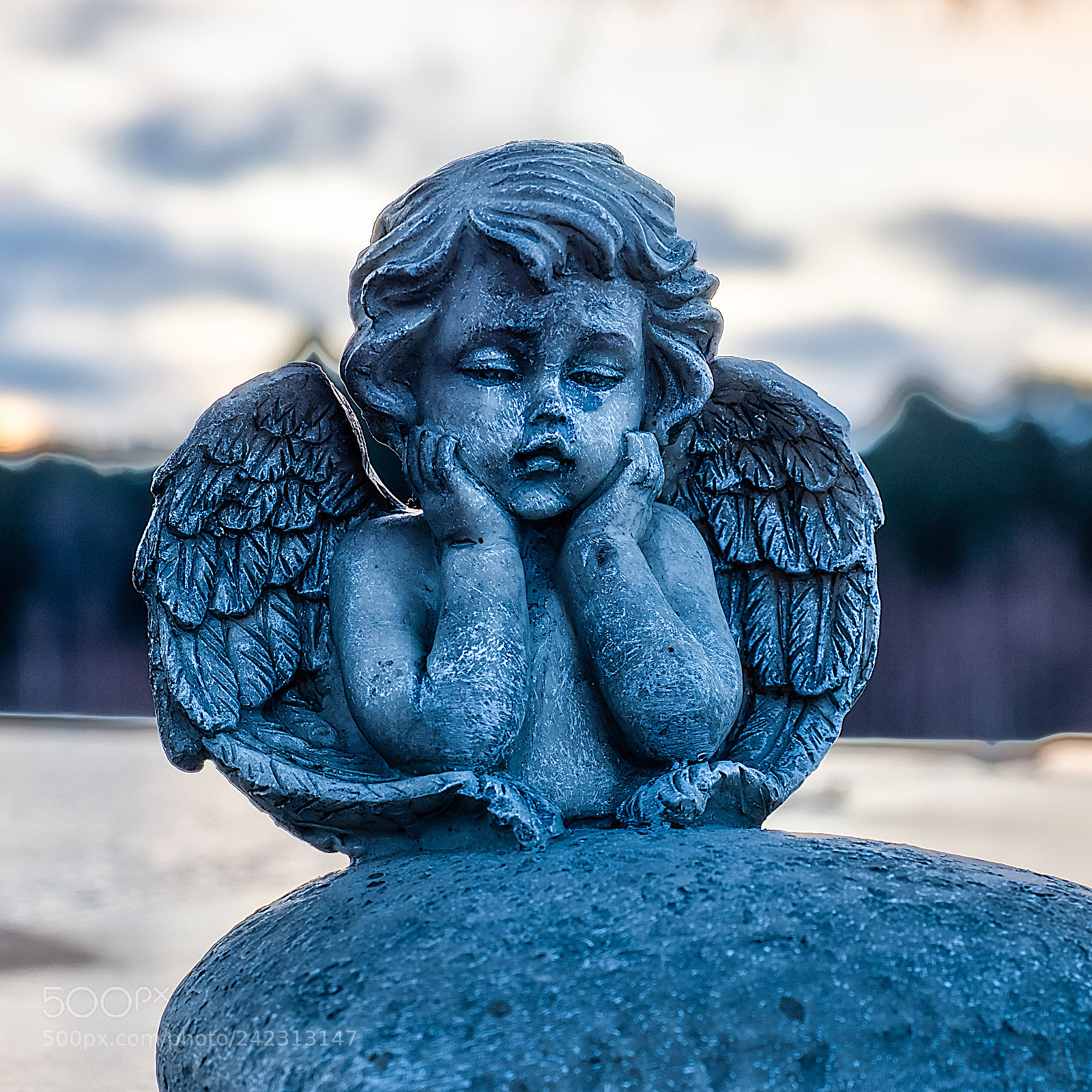 Olympus OM-D E-M5 II sample photo. Rembering loss photography