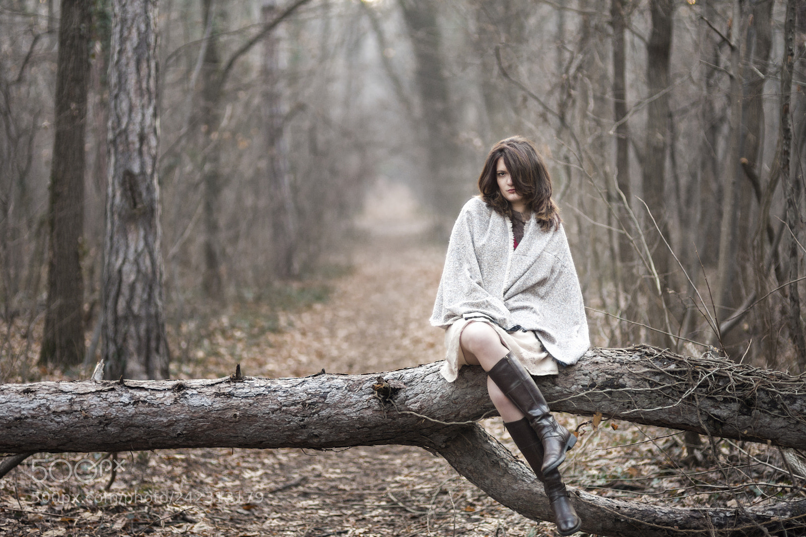 Sony a7 II sample photo. Vesi photography