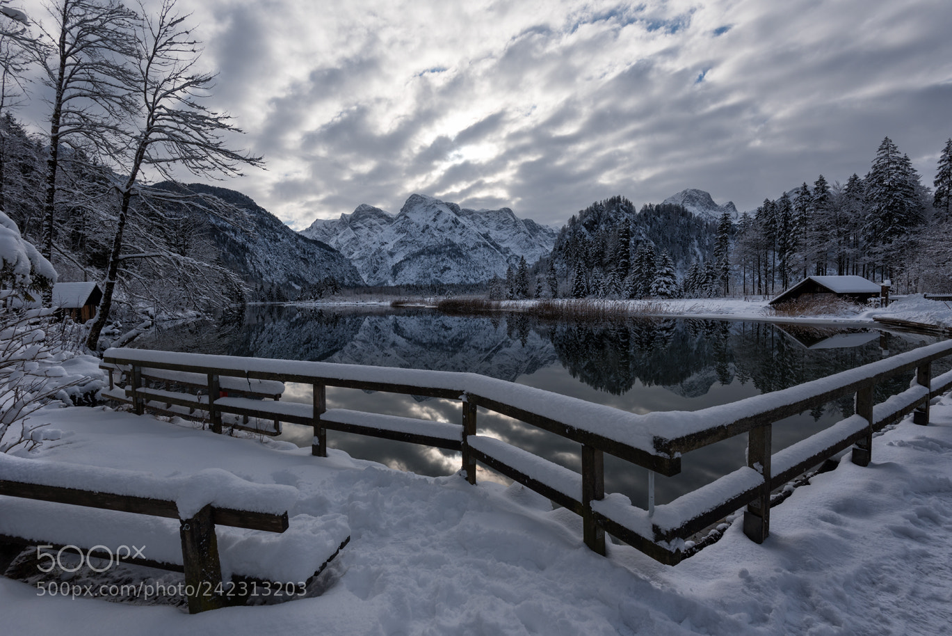Nikon D750 sample photo. Wintertime photography