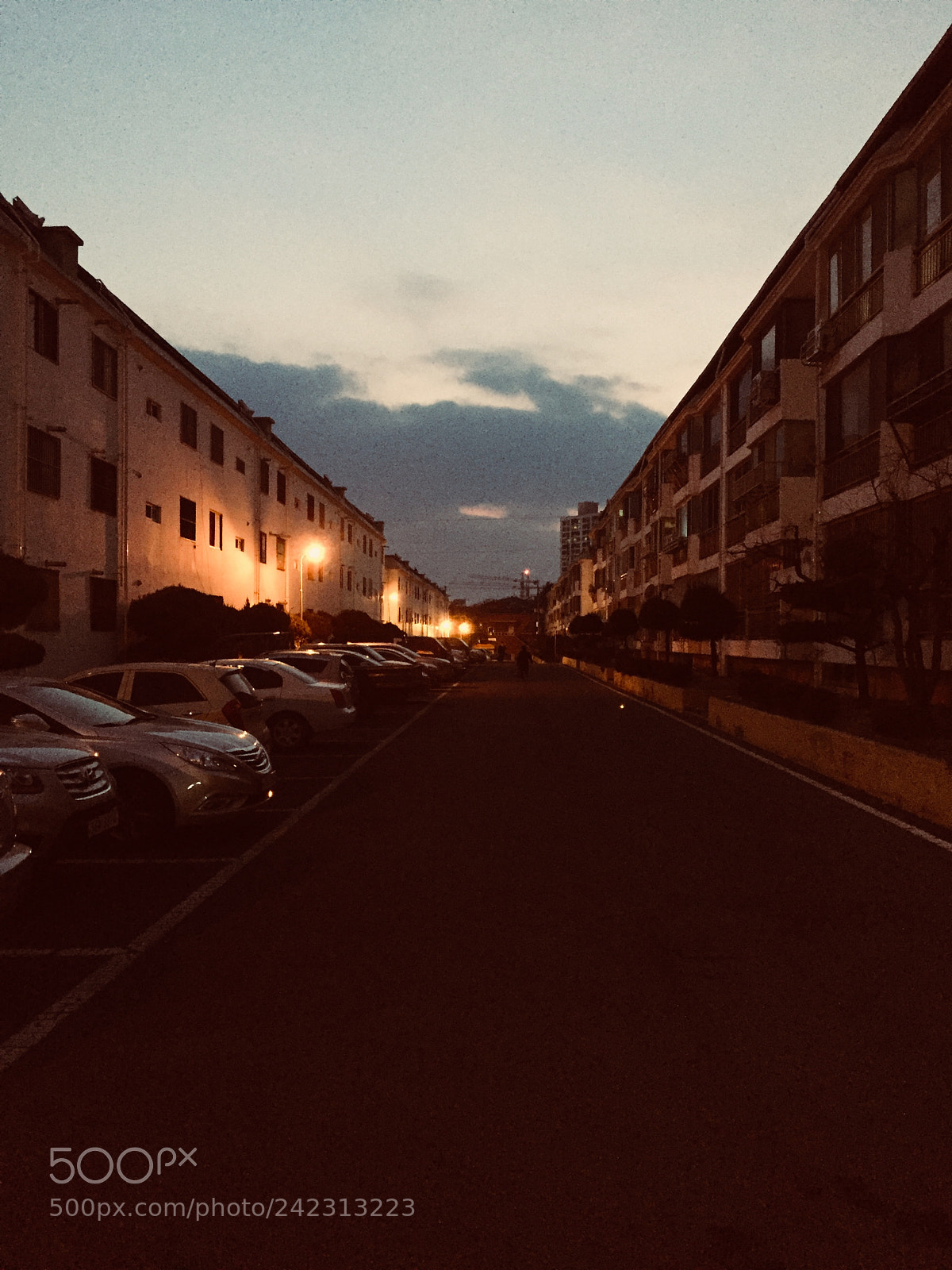 Apple iPhone 6 sample photo. Untitled photography