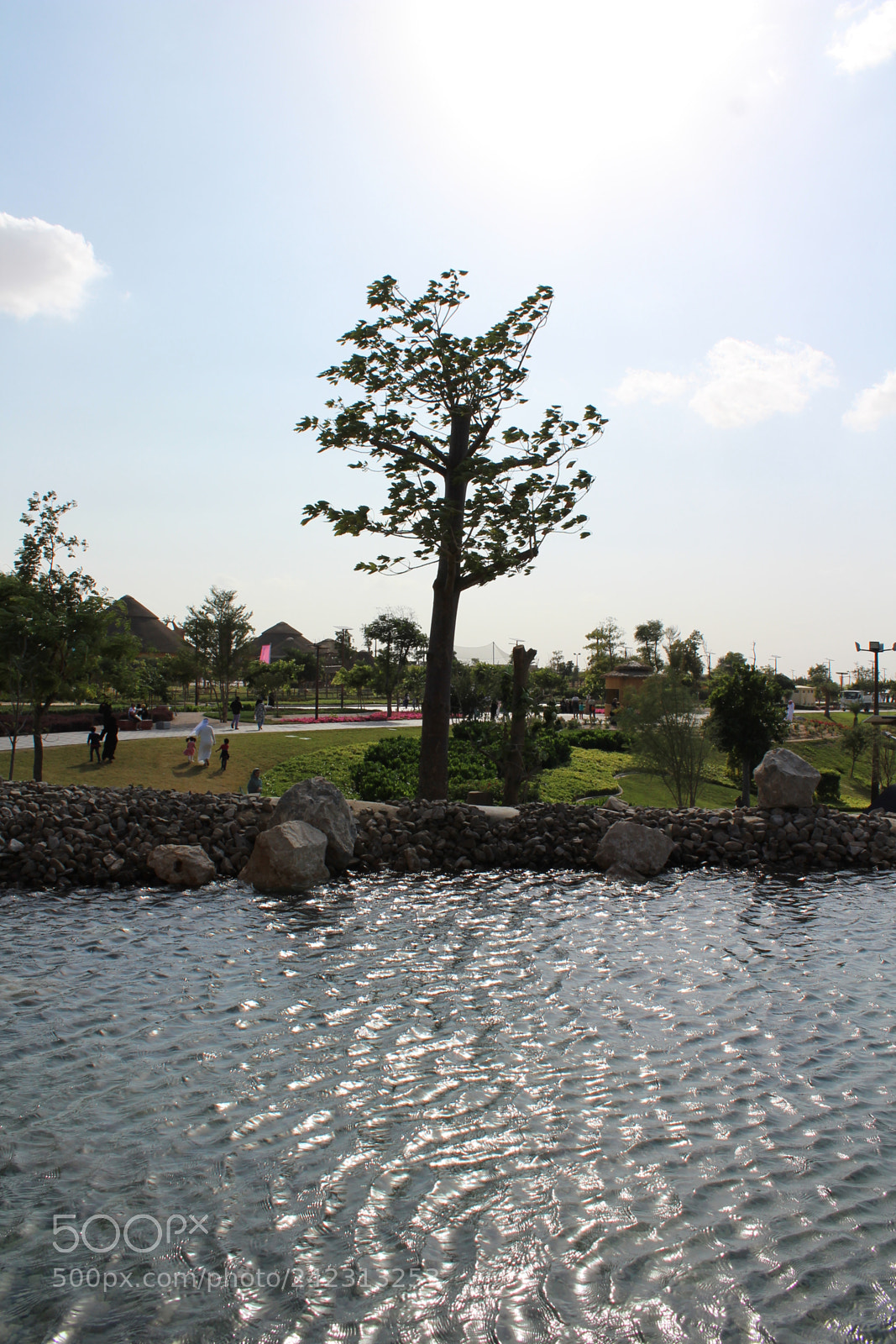 Canon EF-S 18-55mm F3.5-5.6 III sample photo. Img photography