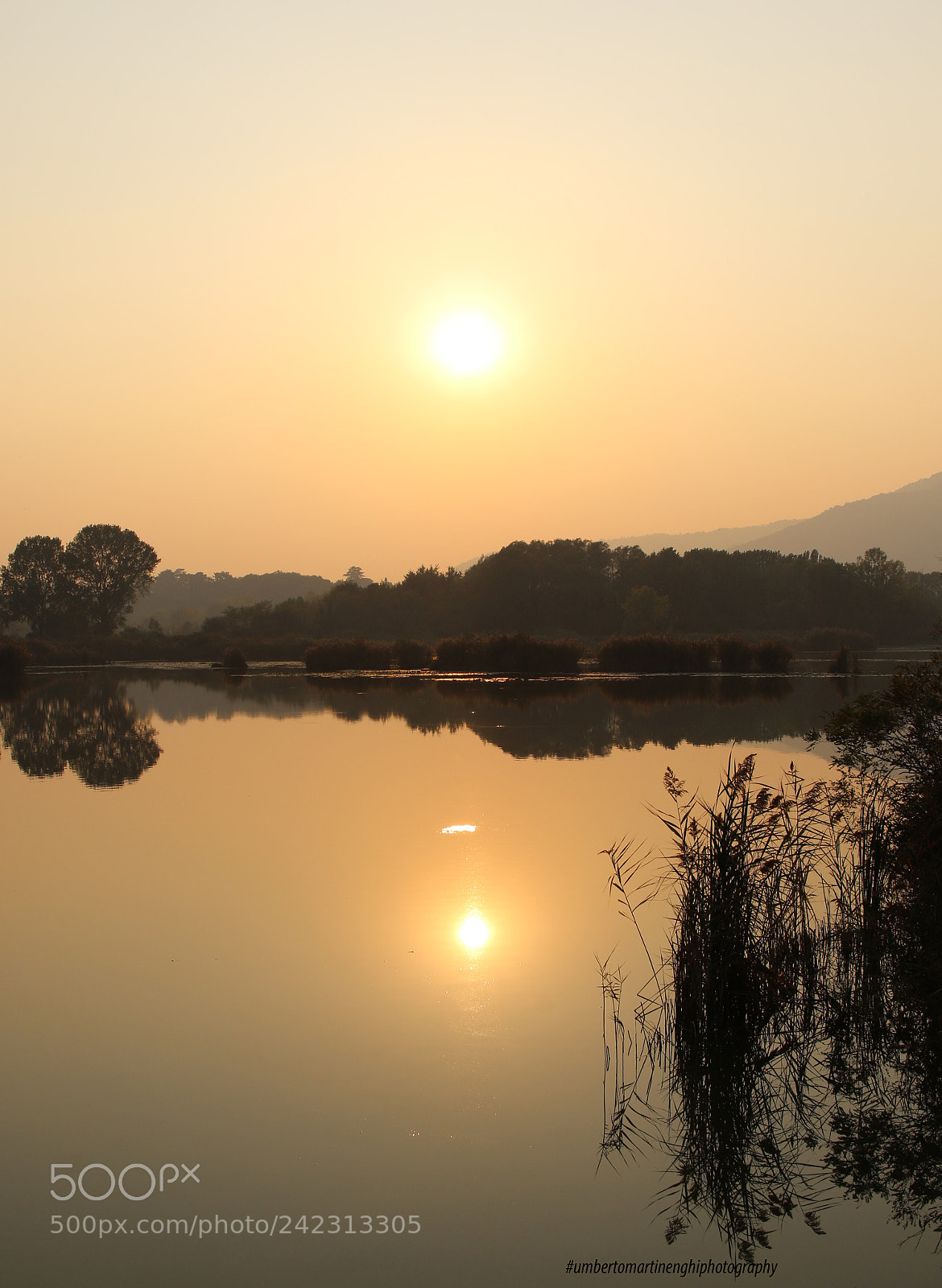 Canon EOS 7D Mark II sample photo. Golden quiet lake 2 photography