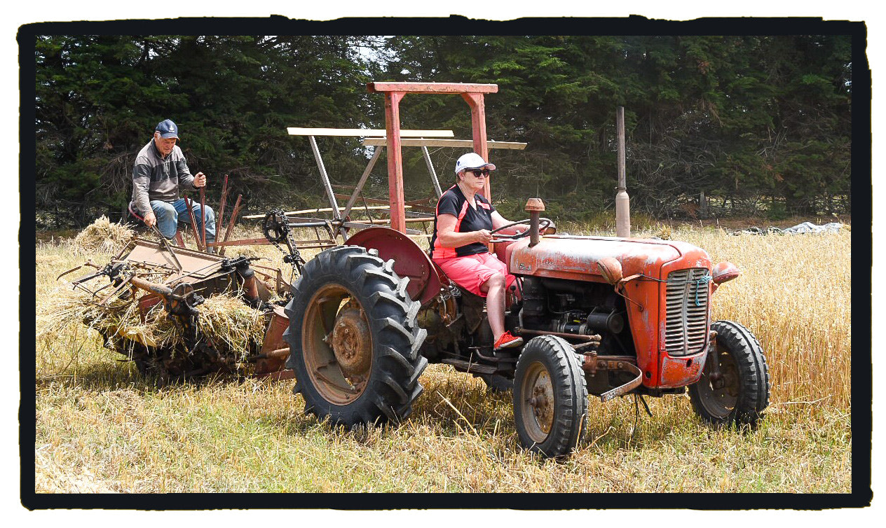 Nikon D5500 sample photo. Harvest time photography