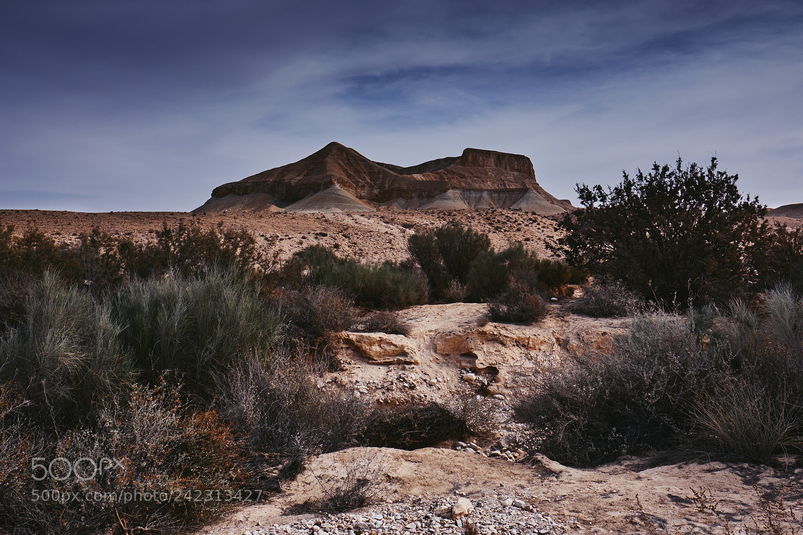 Fujifilm X-T2 sample photo. Zin valley photography