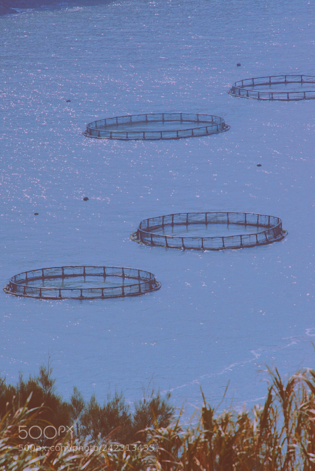 Sony Alpha NEX-5R sample photo. Circles photography