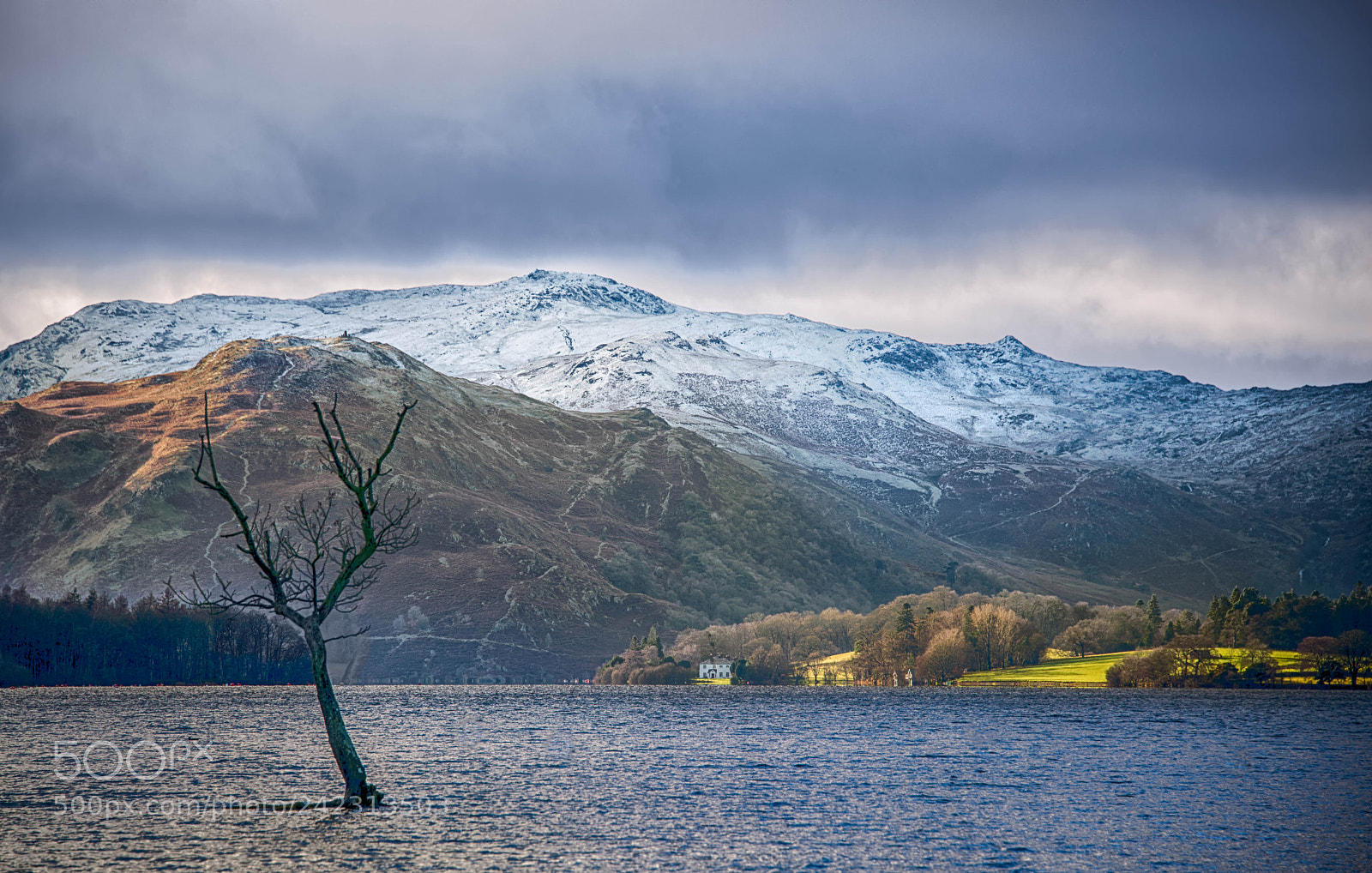 Nikon D800 sample photo. Alone on the lake photography