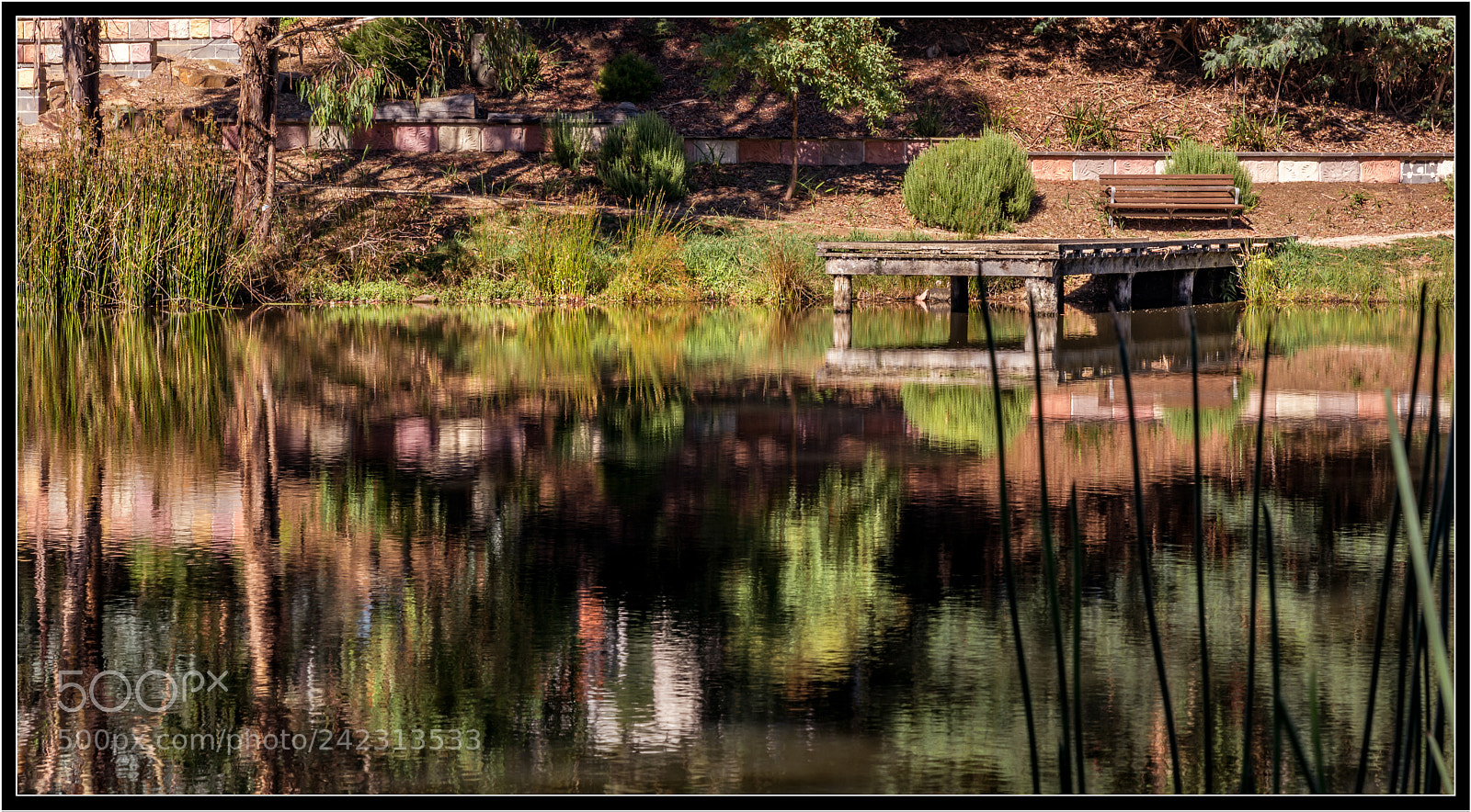 Nikon D7200 sample photo. Reflections...gallipoli park, marysville photography