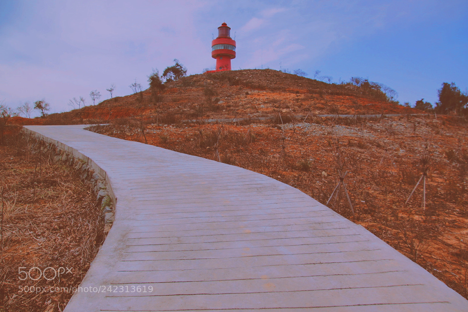 Sony Alpha NEX-5R sample photo. Up hill photography