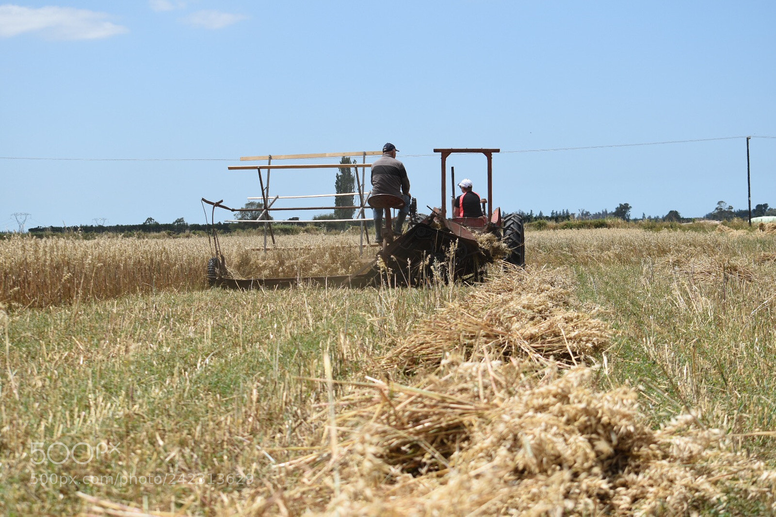 Nikon D5500 sample photo. Farming in new zealand photography