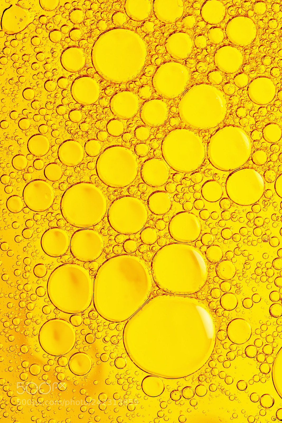 Nikon D800E sample photo. Abstract background yellow  macro photography