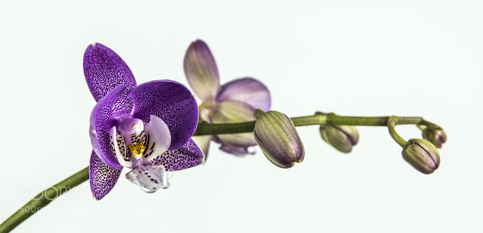 Pentax K-70 sample photo. Almost there photography